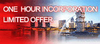 Singapore Company Incorporation(One hour incorporation limited offer)